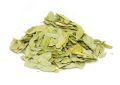 Cassia auriculata (Cassia) Leaves (3)