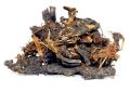 Cyperus rotundus (Nagarmotha) Roots (2)