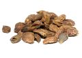 Amomum subulatum (Black Cardamom) Fruits (4)
