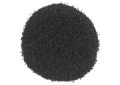 Ocimum gratissimum (Van Tulsi) Seeds - Sabja Seeds (9)