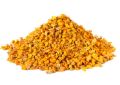Turmeric Roots - TBC Curcuma longa