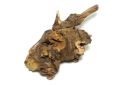 Plumbago zeylanica (Chitrak) Roots (1)