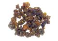 Commiphora wightii (Guggulu) Oleo-Gum-Resin (4)