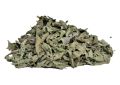 Ocimum sanctum (Rama Tulsi) Leaves