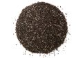 Salvia hispanica (Chia) Seeds (10)