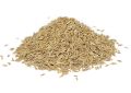 Cuminum cyminum (Cumin) Seeds (5)