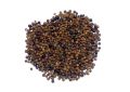 Piper nigrum (Black Pepper) Fruits (1)