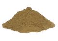 Piper nigrum (Black Pepper) Fruits (-2